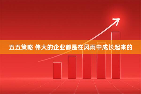 五五策略 伟大的企业都是在风雨中成长起来的