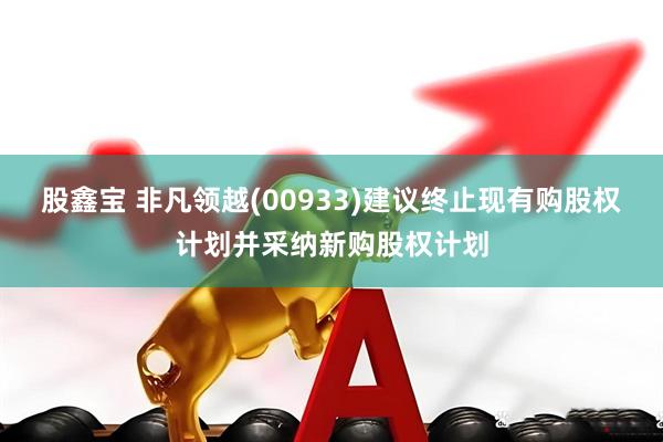 股鑫宝 非凡领越(00933)建议终止现有购股权计划并采纳新购股权计划