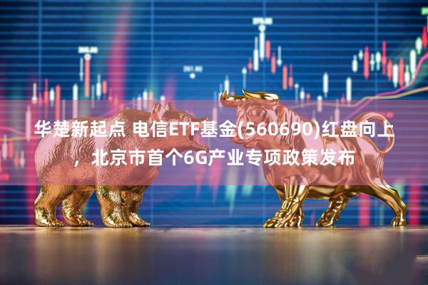 华楚新起点 电信ETF基金(560690)红盘向上，北京市首个6G产业专项政策发布