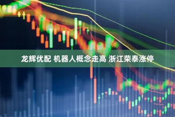 龙辉优配 机器人概念走高 浙江荣泰涨停