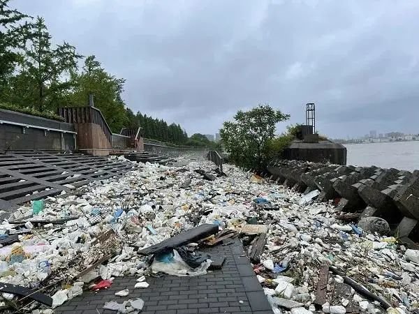 长城配资 将来捡海滩垃圾可赚积分兑换权益，上海为海洋垃圾收运处置寻找动力